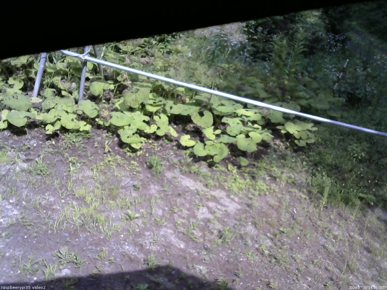 長野県菅平高原 ゆたか山荘 駐車場 2026/07/20 14:30