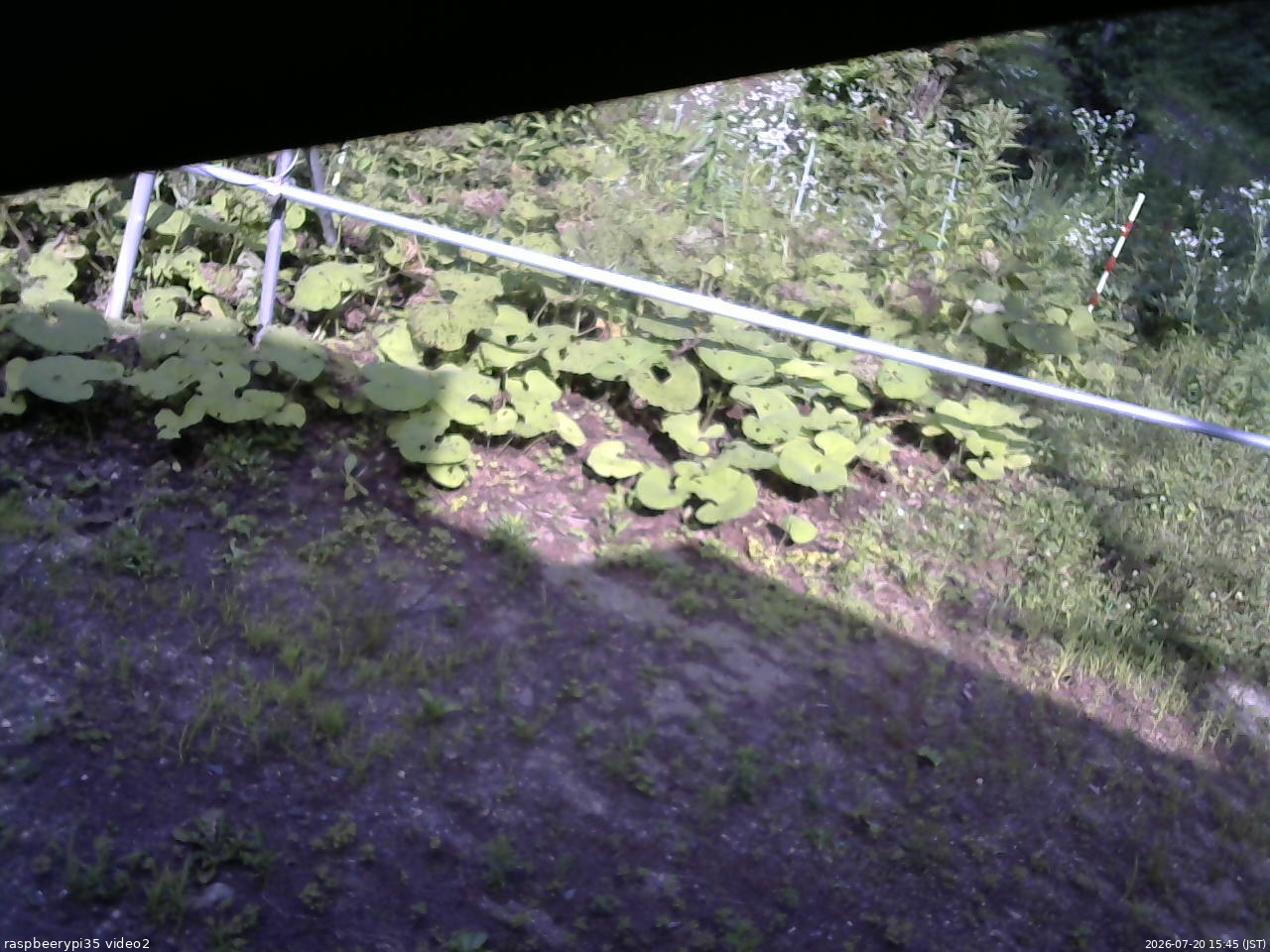 長野県菅平高原 ゆたか山荘 駐車場 2026/07/20 15:45