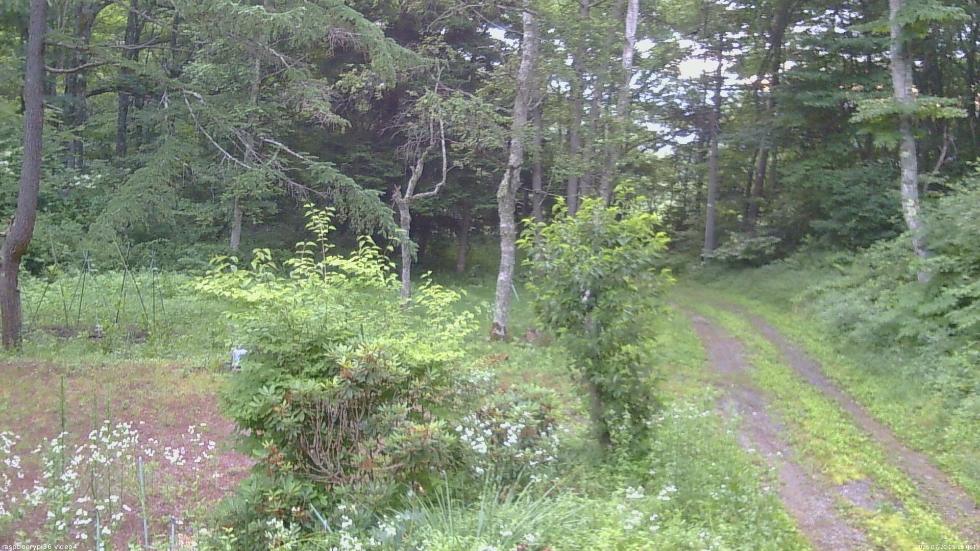 長野県菅平高原 ゆたか山荘 坂上 2026/07/20 05:15