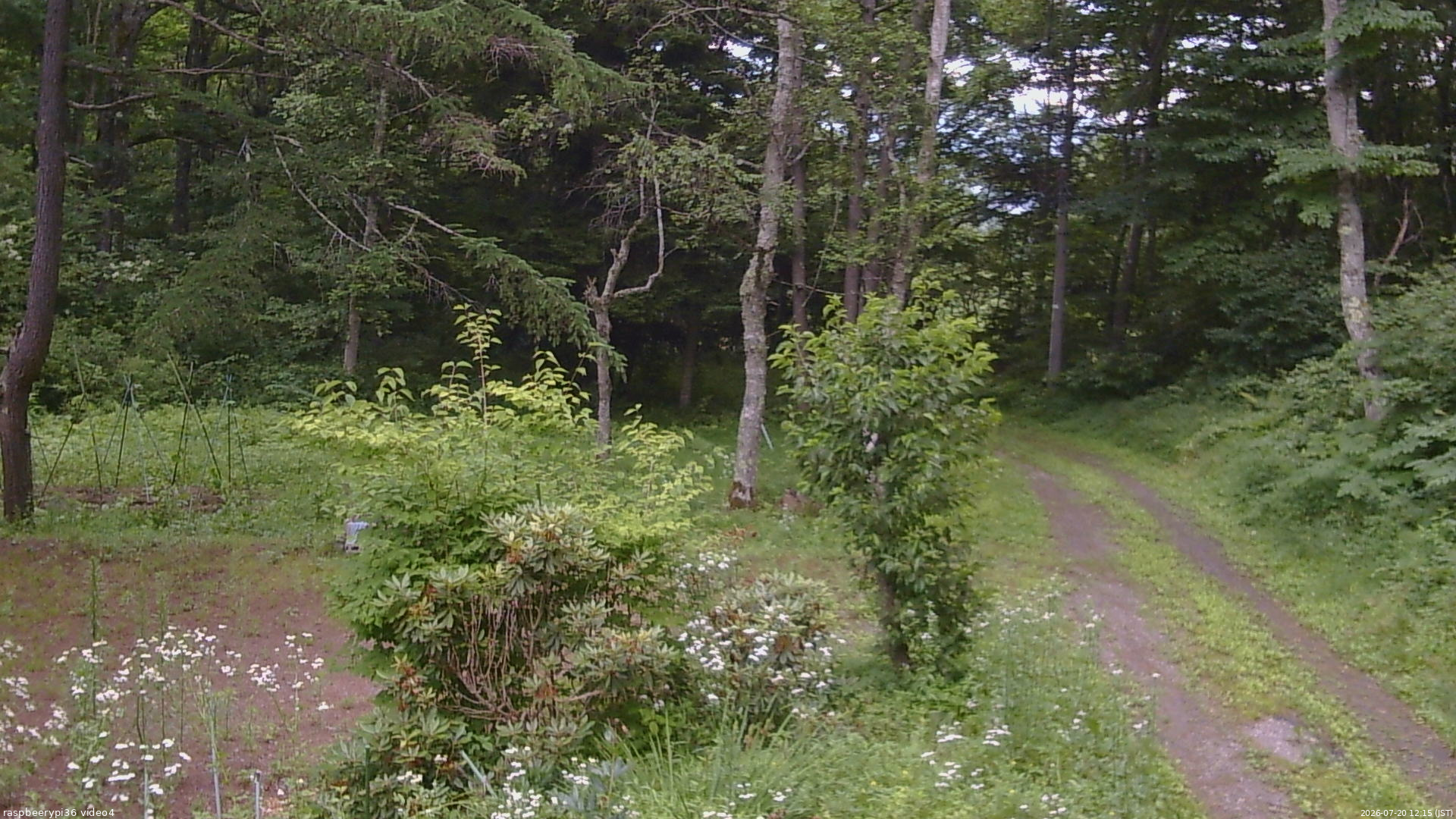 長野県菅平高原 ゆたか山荘 坂上 2026/07/20 12:15