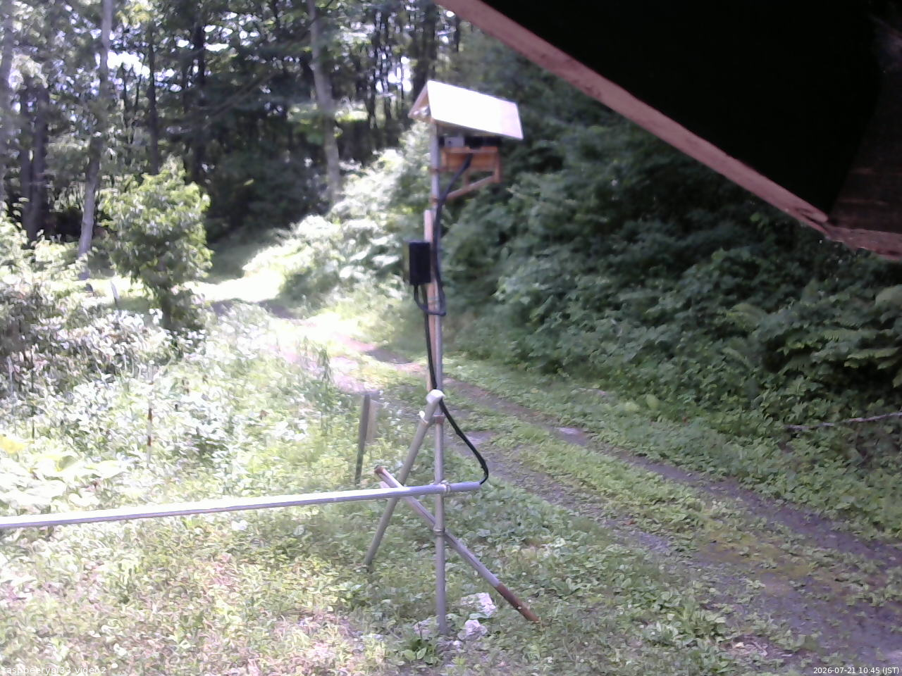 長野県菅平高原 ゆたか山荘 南側 2026/07/21 10:45