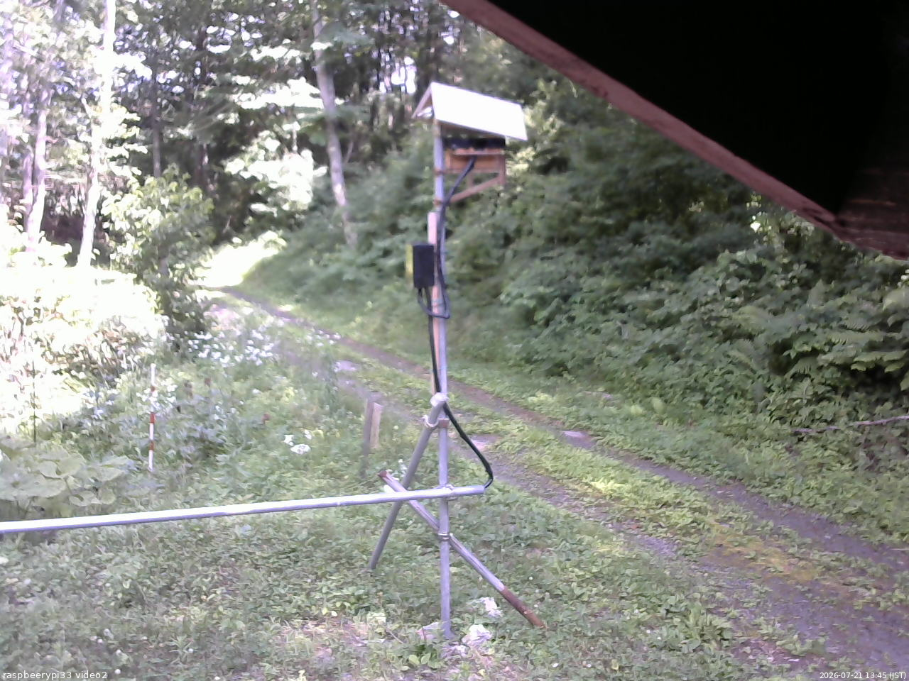 長野県菅平高原 ゆたか山荘 南側 2026/07/21 13:45
