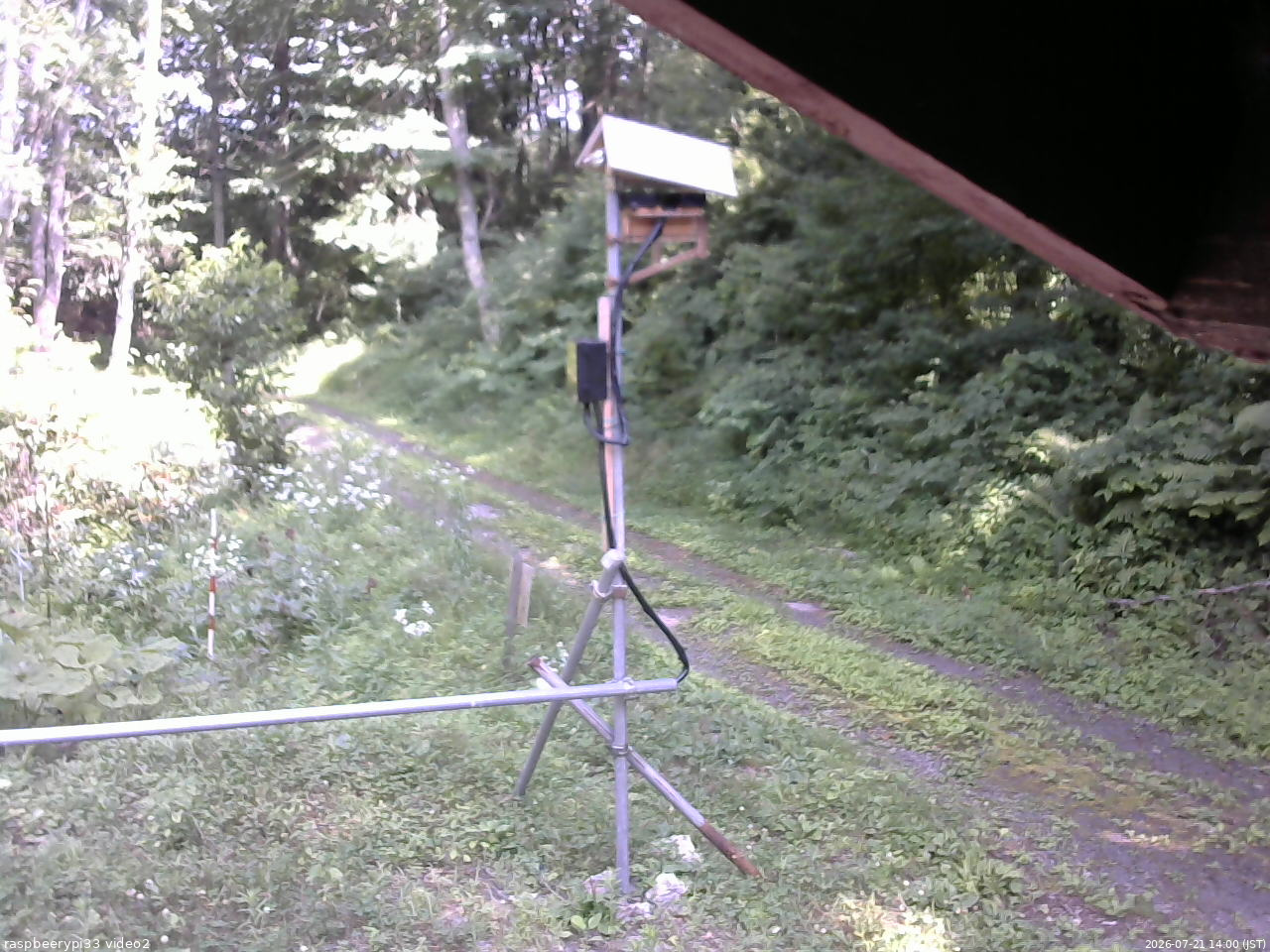 長野県菅平高原 ゆたか山荘 南側 2026/07/21 14:00