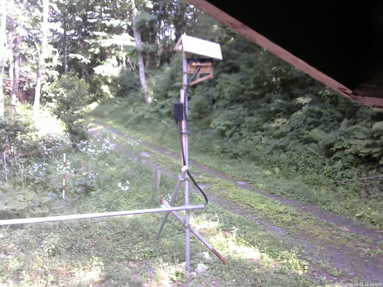 長野県菅平高原 ゆたか山荘 南側 2026/07/21 14:30