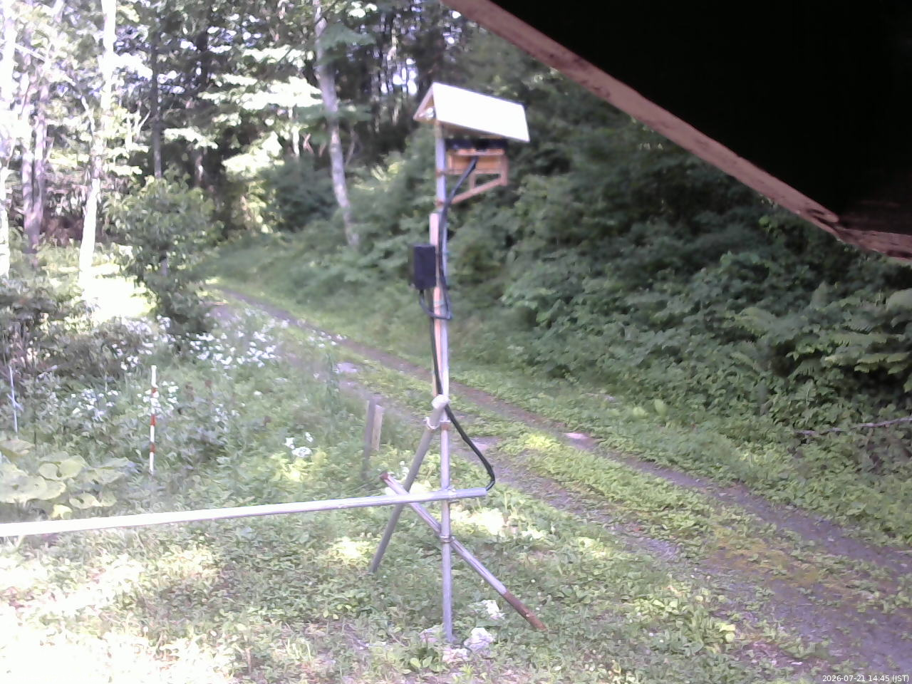 長野県菅平高原 ゆたか山荘 南側 2026/07/21 14:45