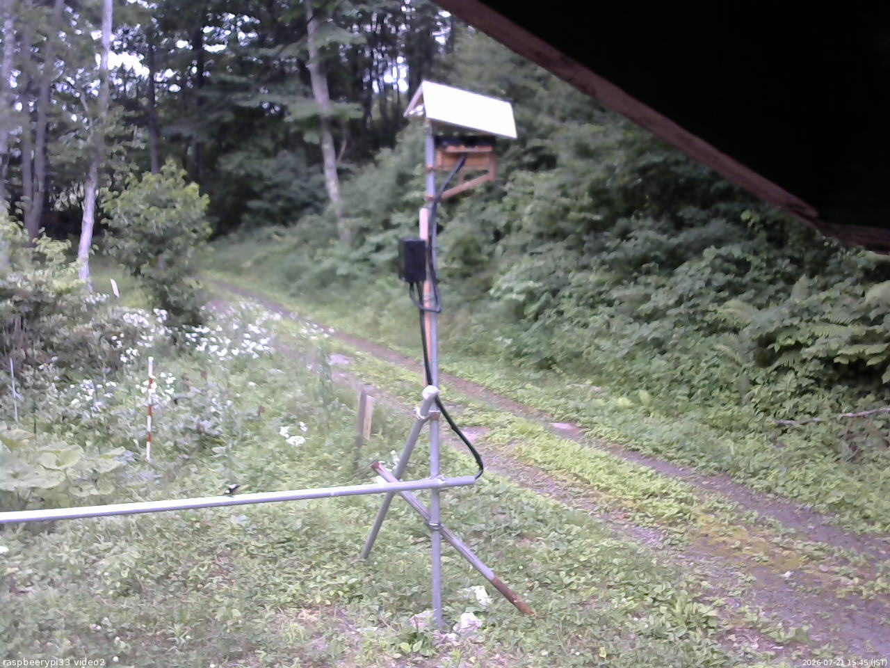 長野県菅平高原 ゆたか山荘 南側 2026/07/21 15:45