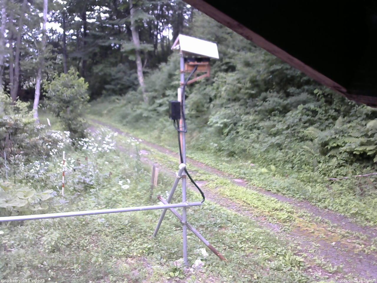 長野県菅平高原 ゆたか山荘 南側 2026/07/21 16:15