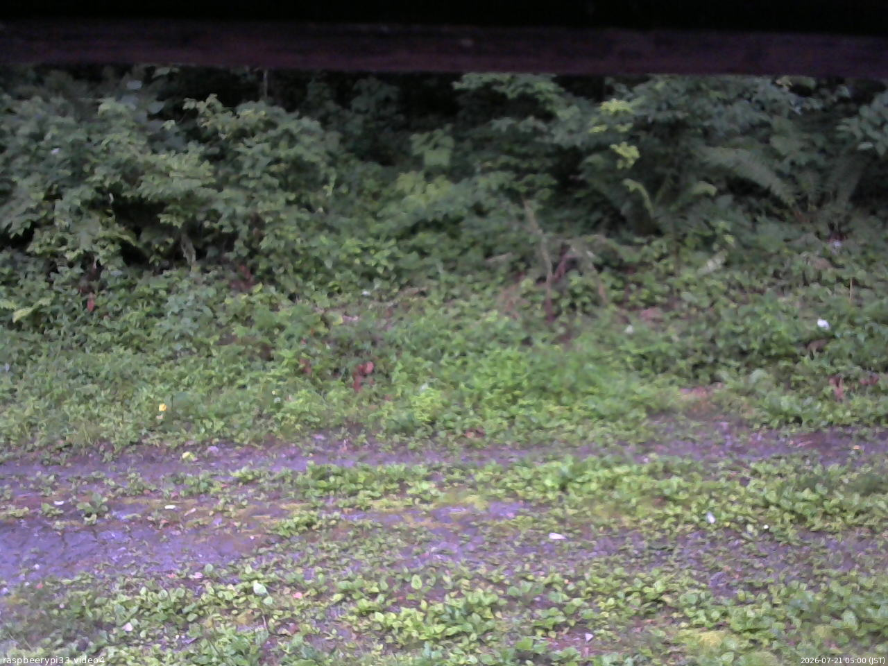 長野県菅平高原 ゆたか山荘 東側(坂下) 2026/07/21 05:00