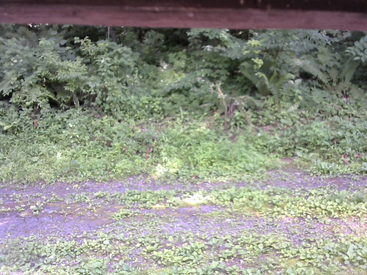 長野県菅平高原 ゆたか山荘 東側(坂下) 2026/07/21 13:45