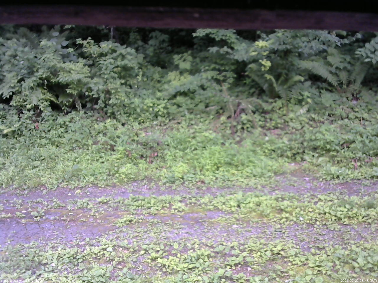 長野県菅平高原 ゆたか山荘 東側(坂下) 2026/07/21 15:45