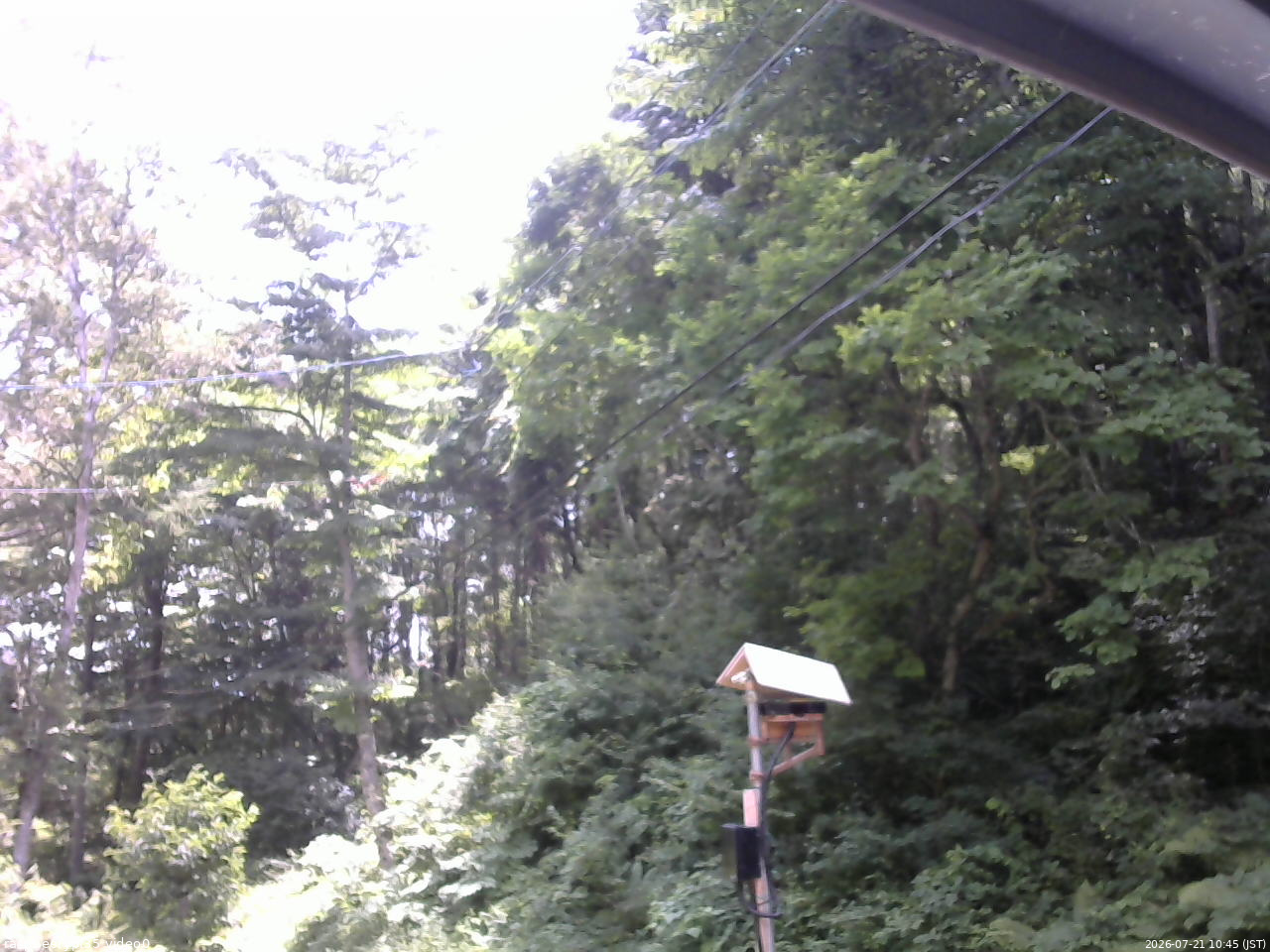 長野県菅平高原 ゆたか山荘 温度計 2026/07/21 10:45