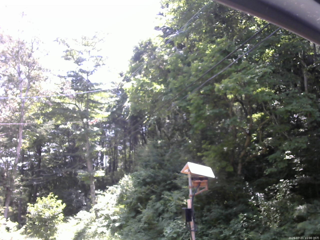 長野県菅平高原 ゆたか山荘 温度計 2026/07/21 11:00