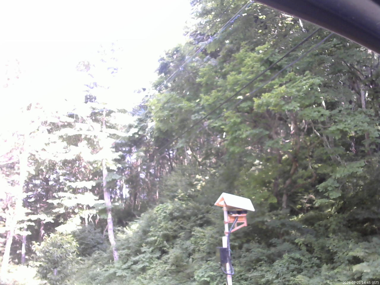 長野県菅平高原 ゆたか山荘 温度計 2026/07/21 14:45
