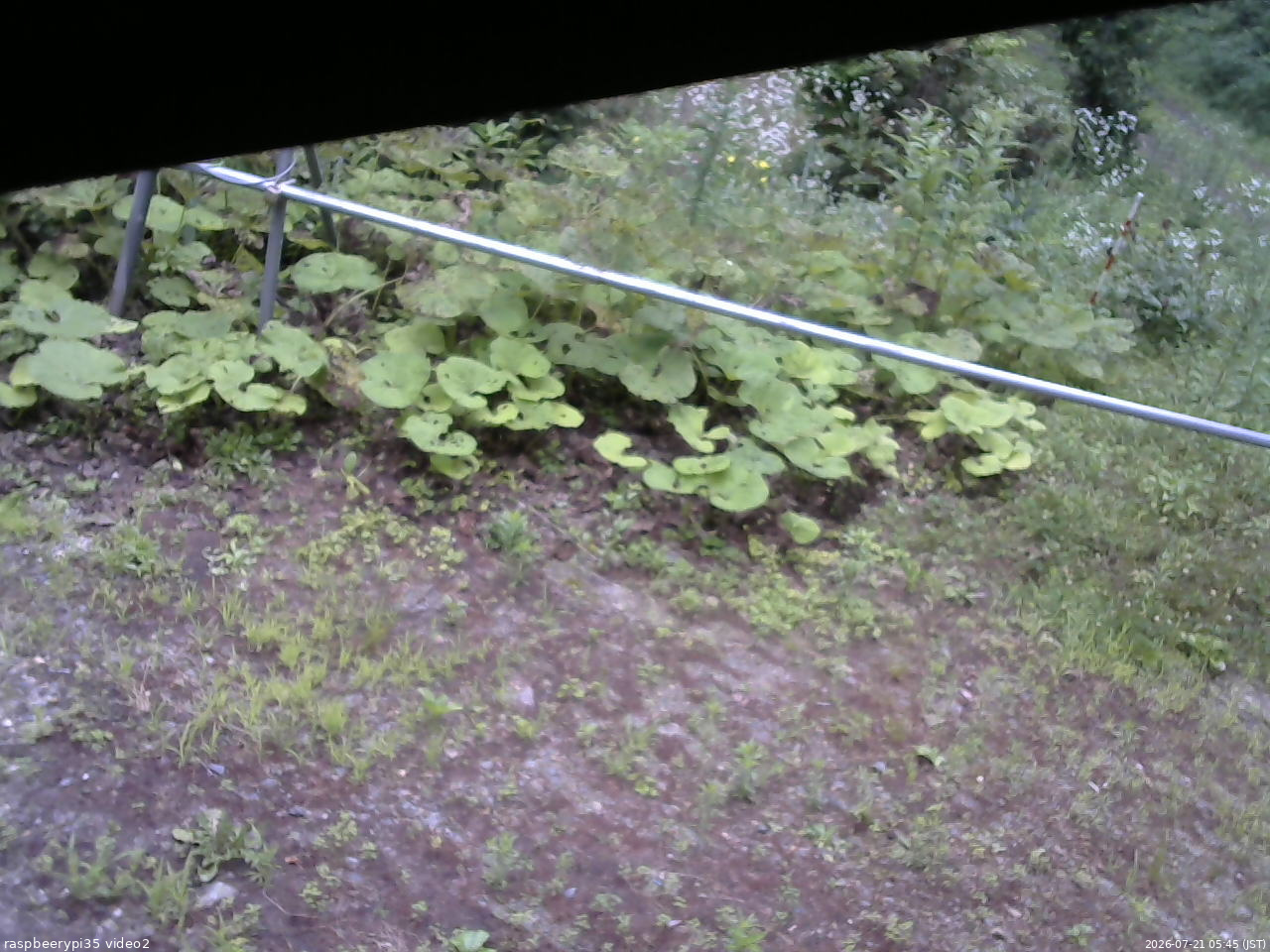 長野県菅平高原 ゆたか山荘 駐車場 2026/07/21 05:45
