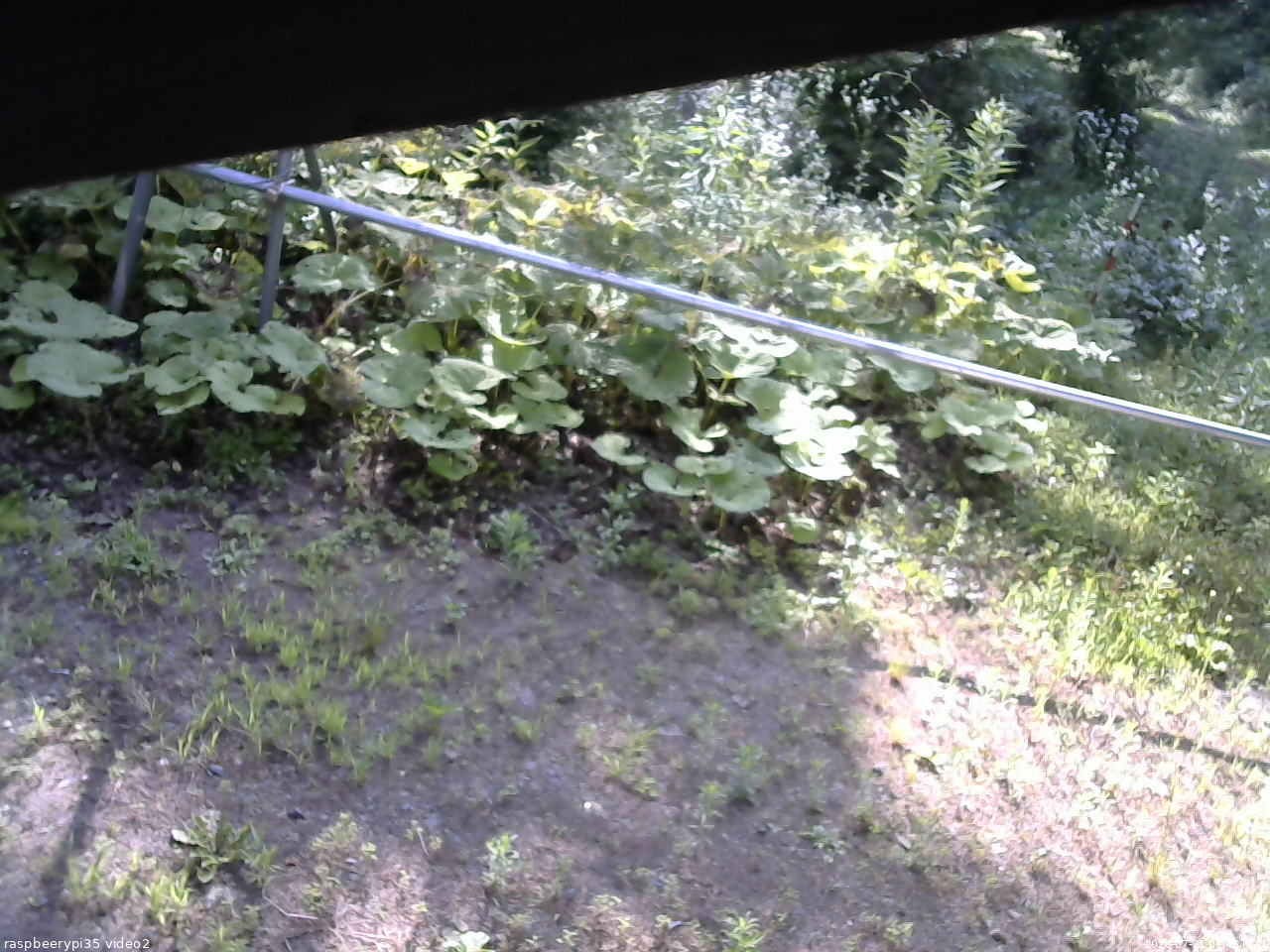 長野県菅平高原 ゆたか山荘 駐車場 2026/07/21 07:45