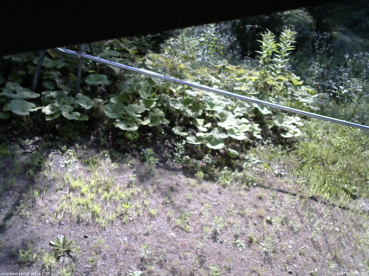 長野県菅平高原 ゆたか山荘 駐車場 2026/07/21 08:15