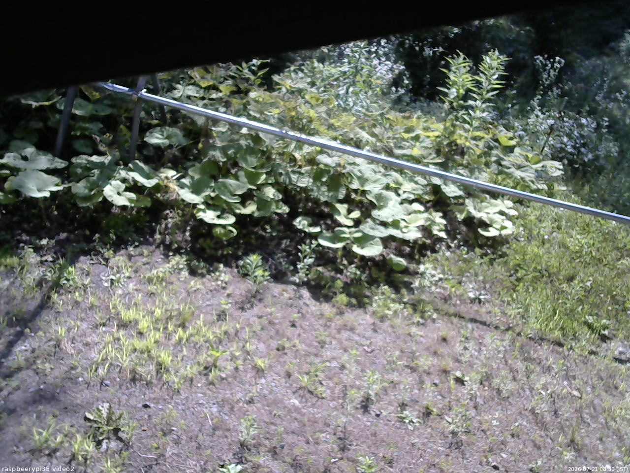 長野県菅平高原 ゆたか山荘 駐車場 2026/07/21 08:30