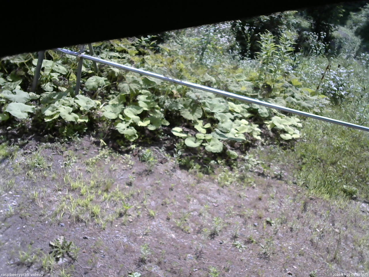 長野県菅平高原 ゆたか山荘 駐車場 2026/07/21 09:30