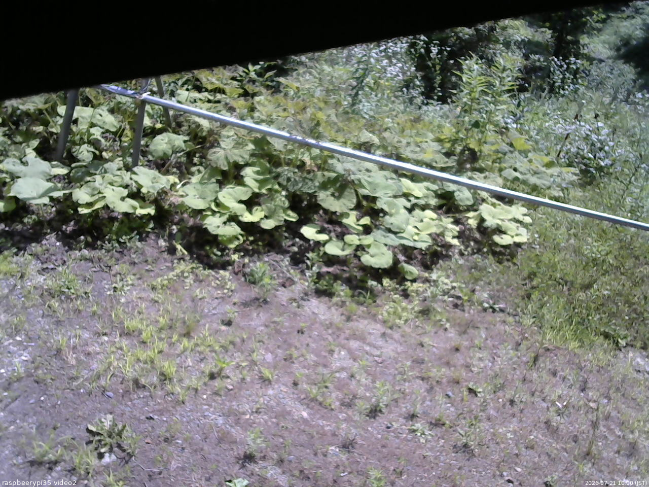 長野県菅平高原 ゆたか山荘 駐車場 2026/07/21 10:00