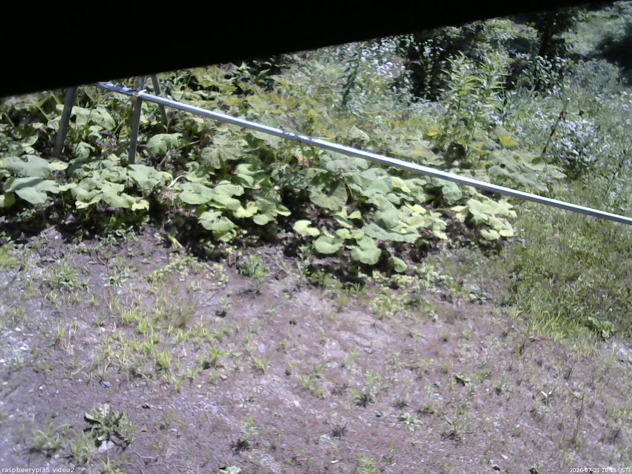 長野県菅平高原 ゆたか山荘 駐車場 2026/07/21 10:15