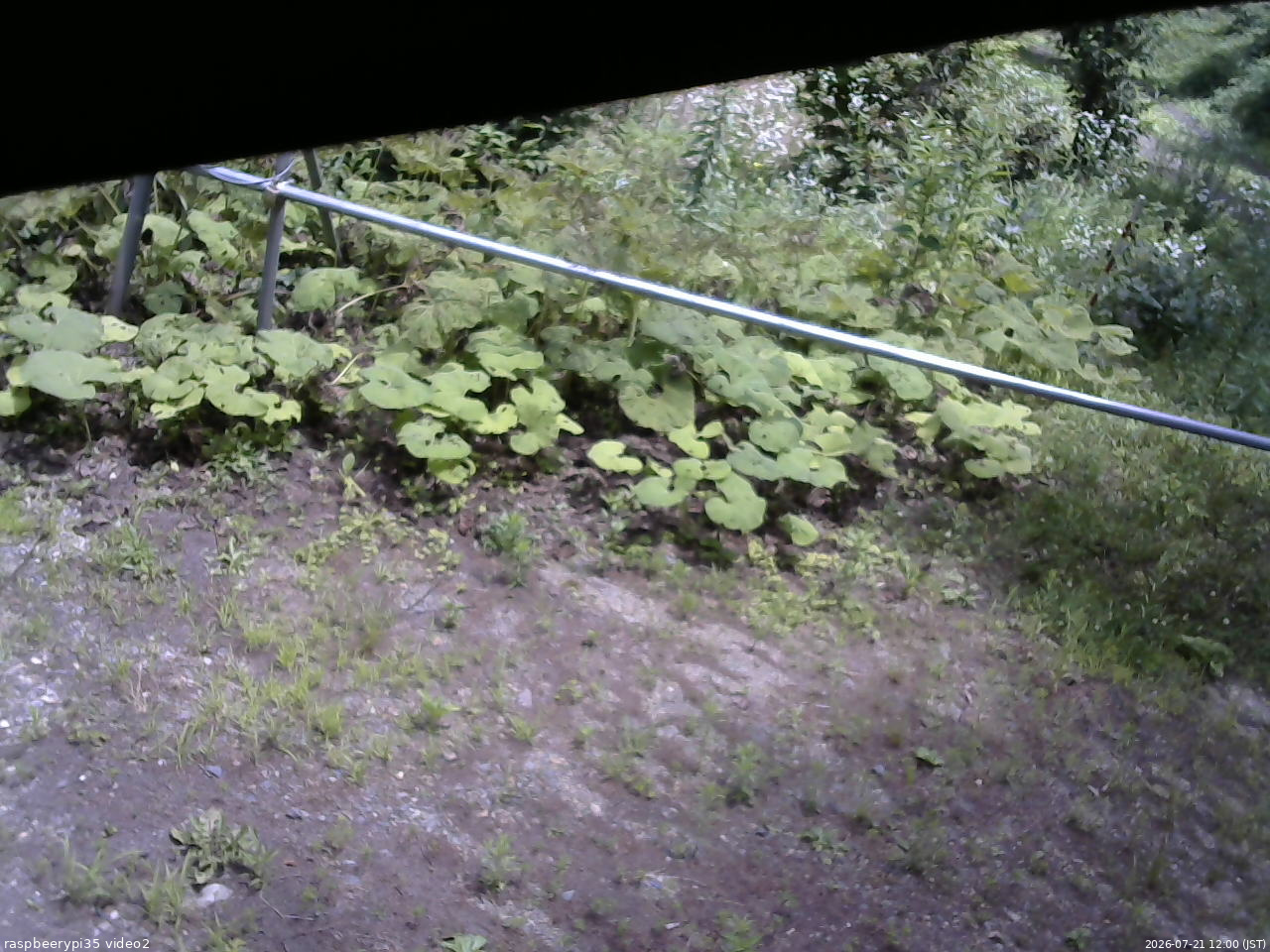 長野県菅平高原 ゆたか山荘 駐車場 2026/07/21 12:00
