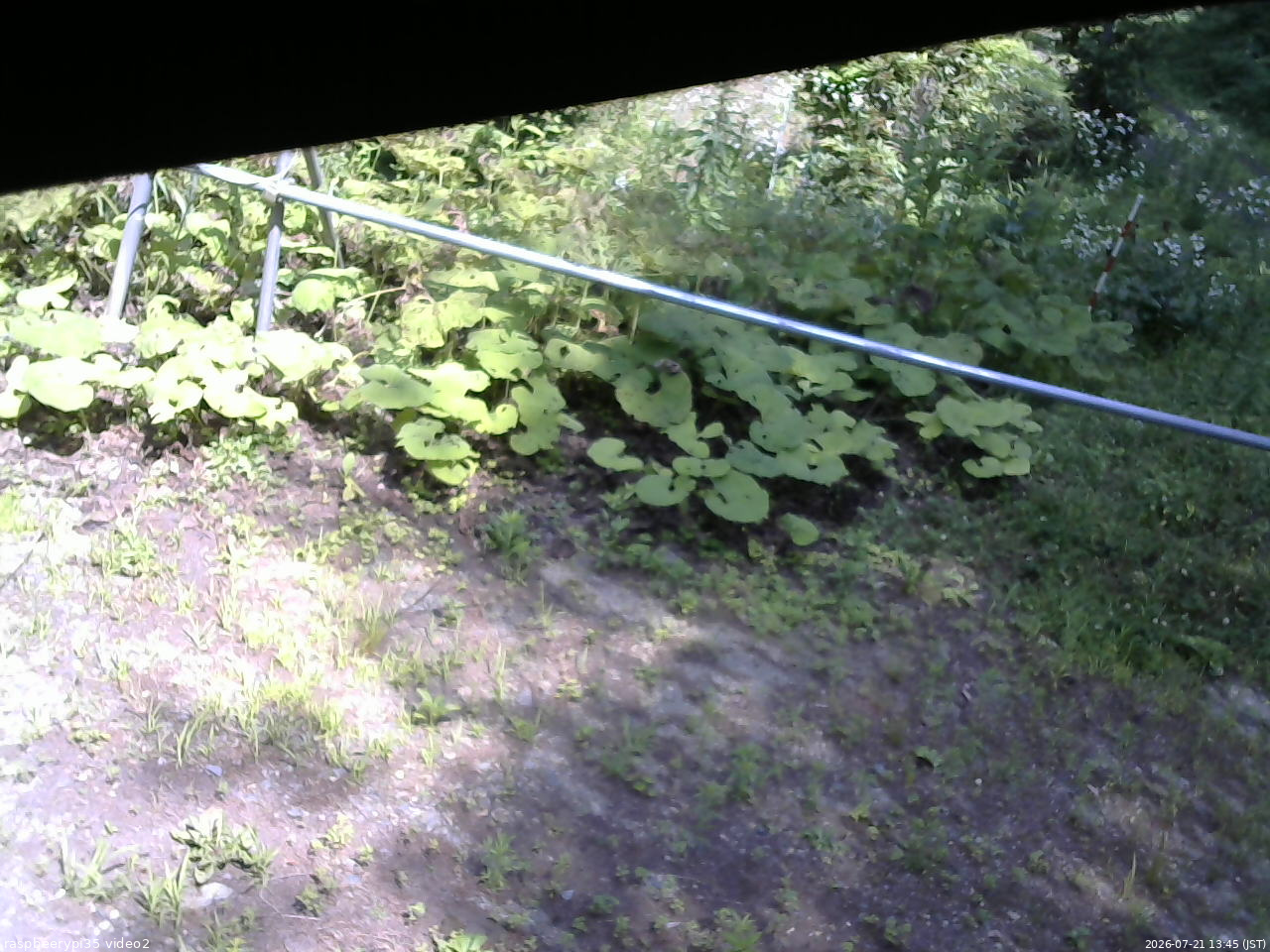 長野県菅平高原 ゆたか山荘 駐車場 2026/07/21 13:45