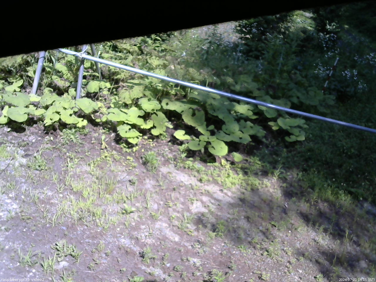 長野県菅平高原 ゆたか山荘 駐車場 2026/07/21 14:15