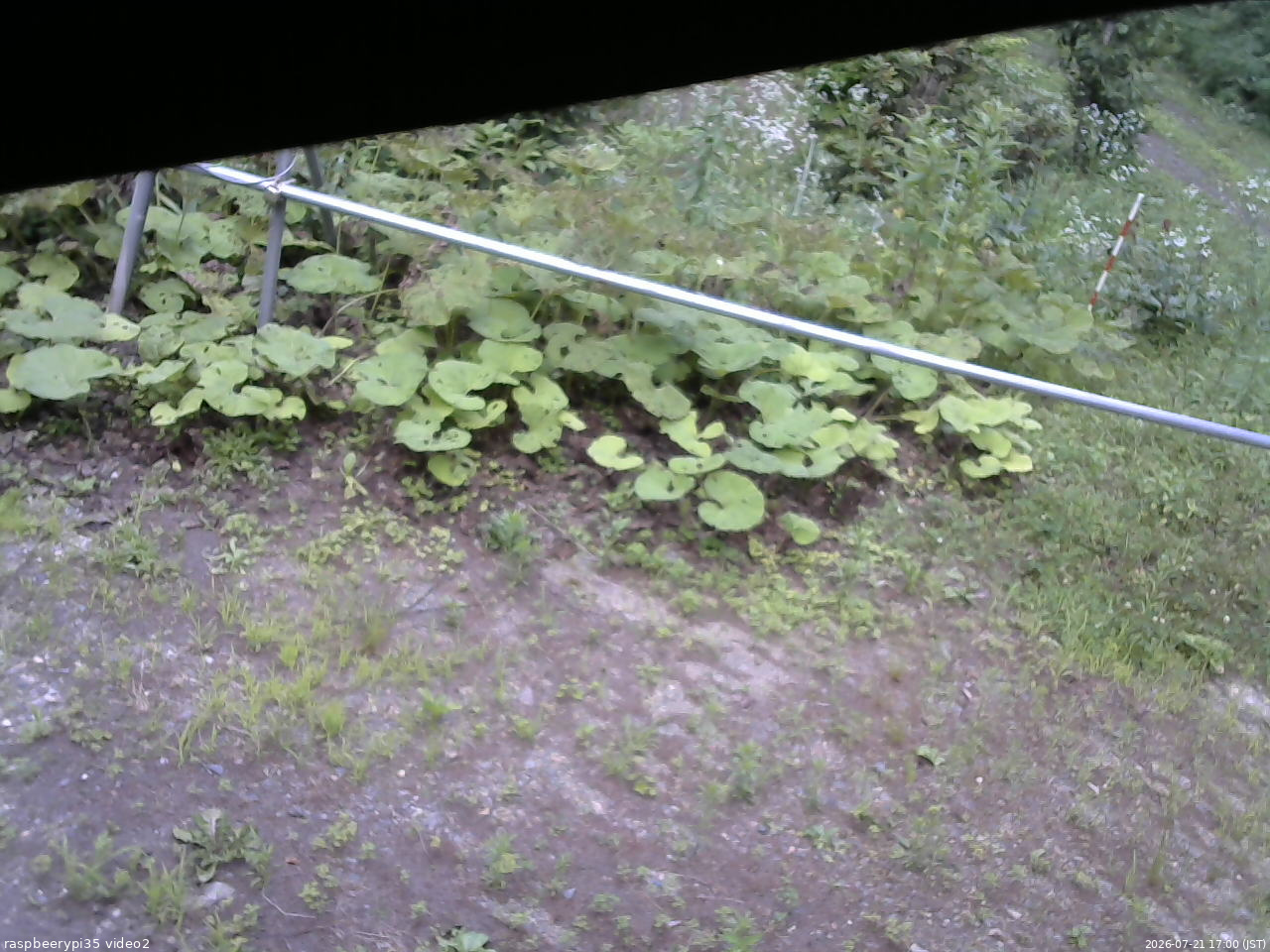 長野県菅平高原 ゆたか山荘 駐車場 2026/07/21 17:00
