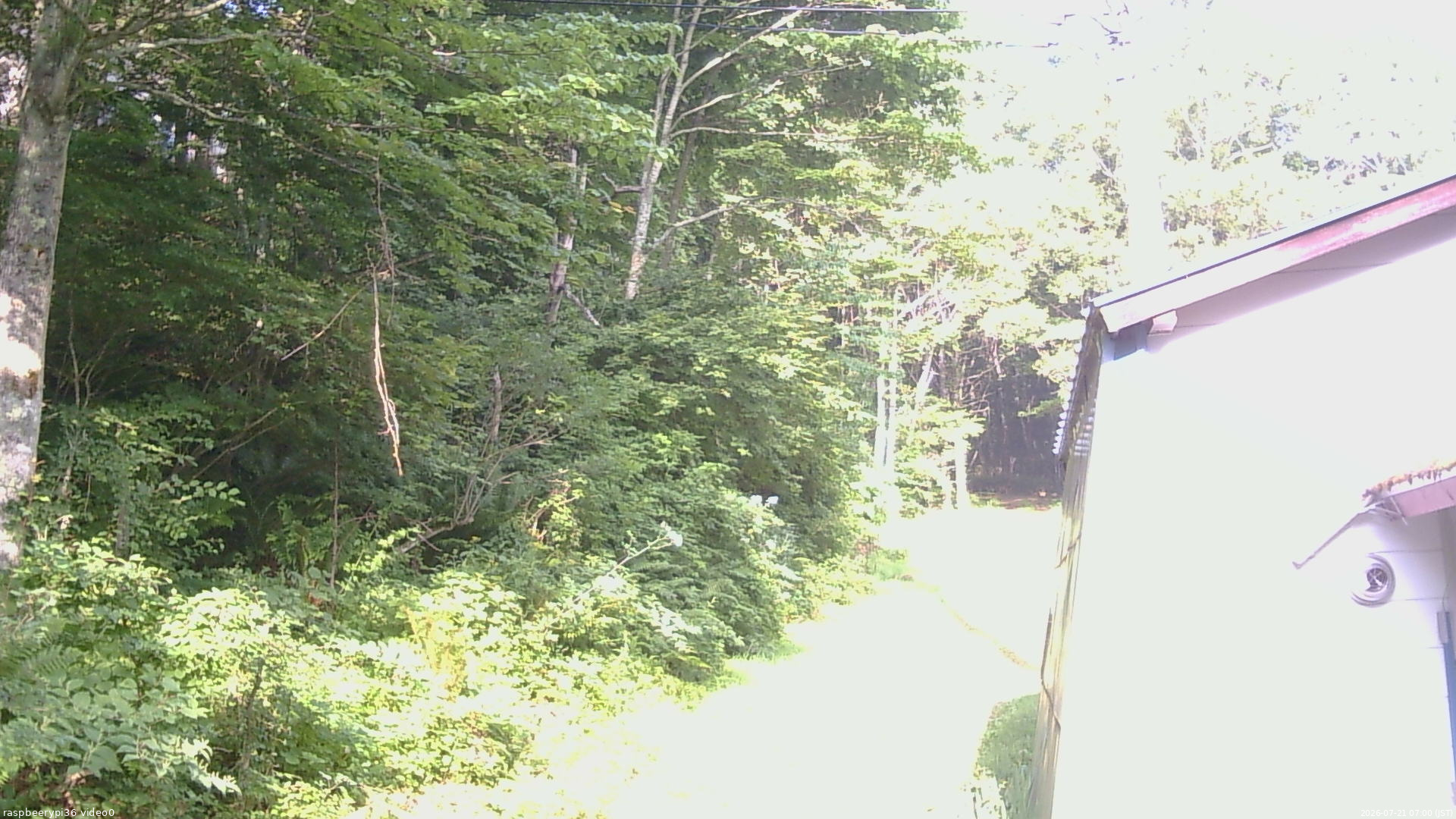 長野県菅平高原 ゆたか山荘 ゆたか山荘 2026/07/21 07:00