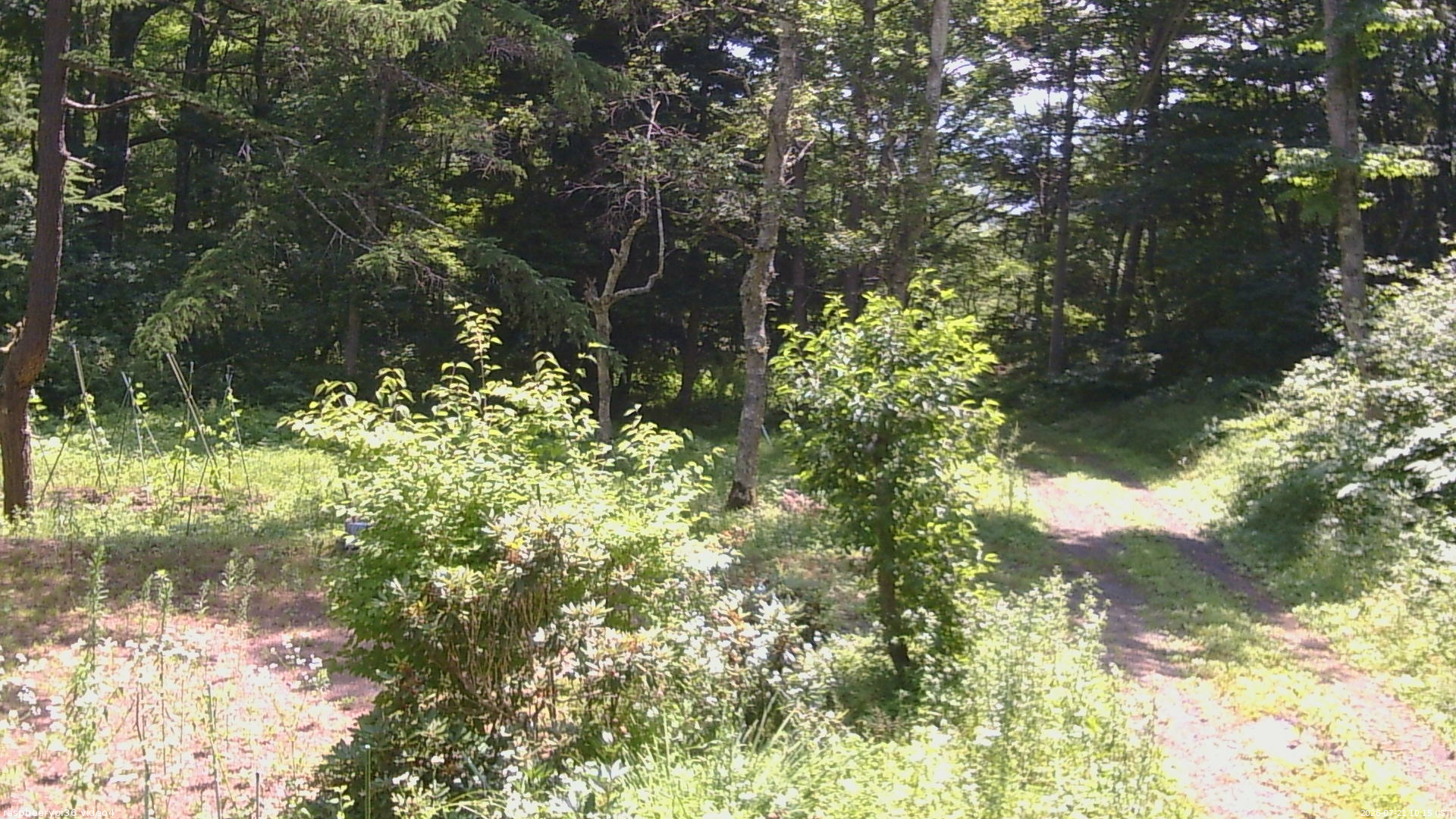 長野県菅平高原 ゆたか山荘 坂上 2026/07/21 10:15