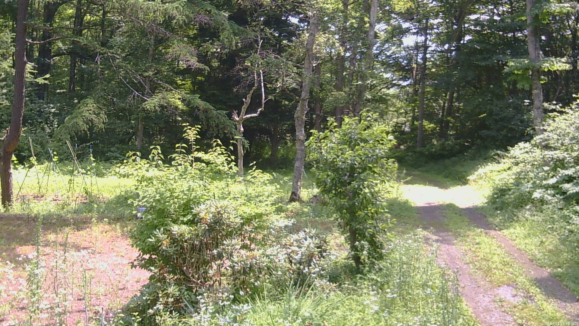 長野県菅平高原 ゆたか山荘 坂上 2026/07/21 10:45