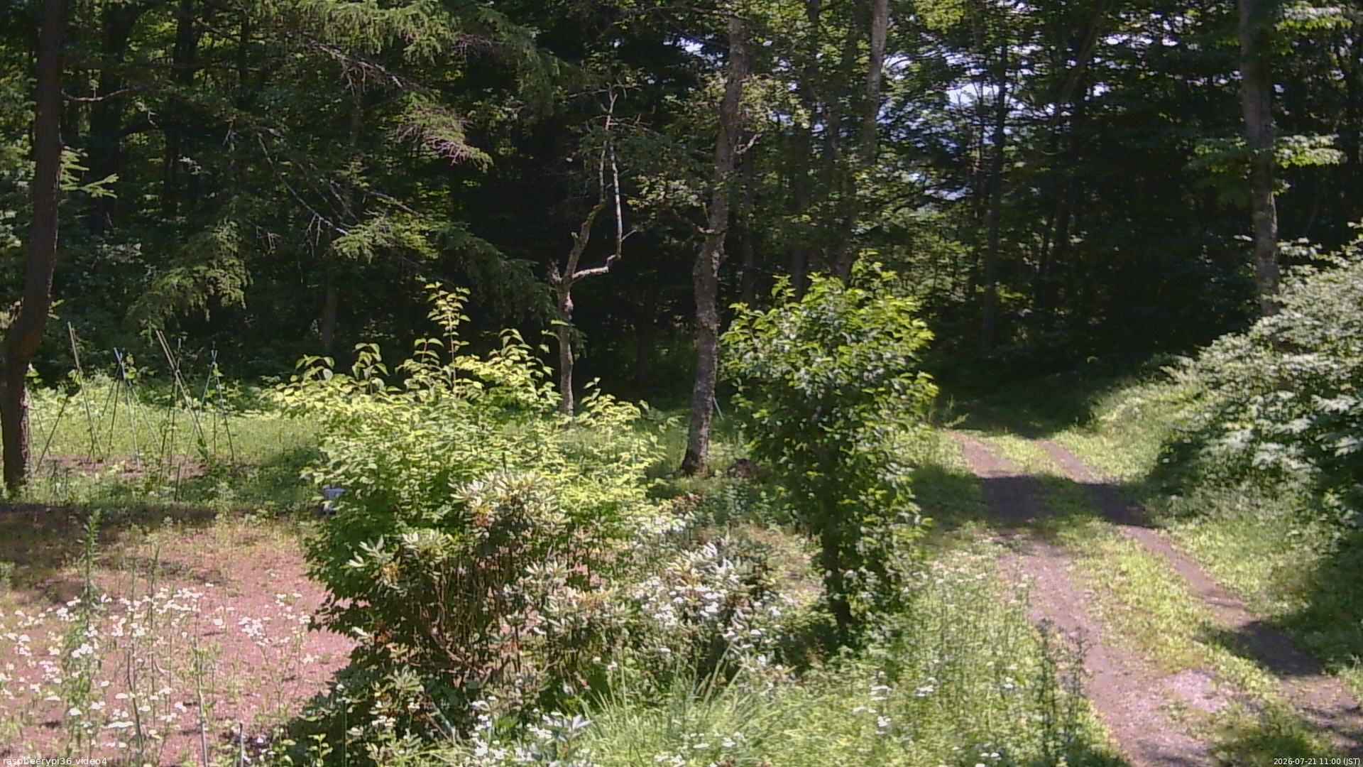 長野県菅平高原 ゆたか山荘 坂上 2026/07/21 11:00
