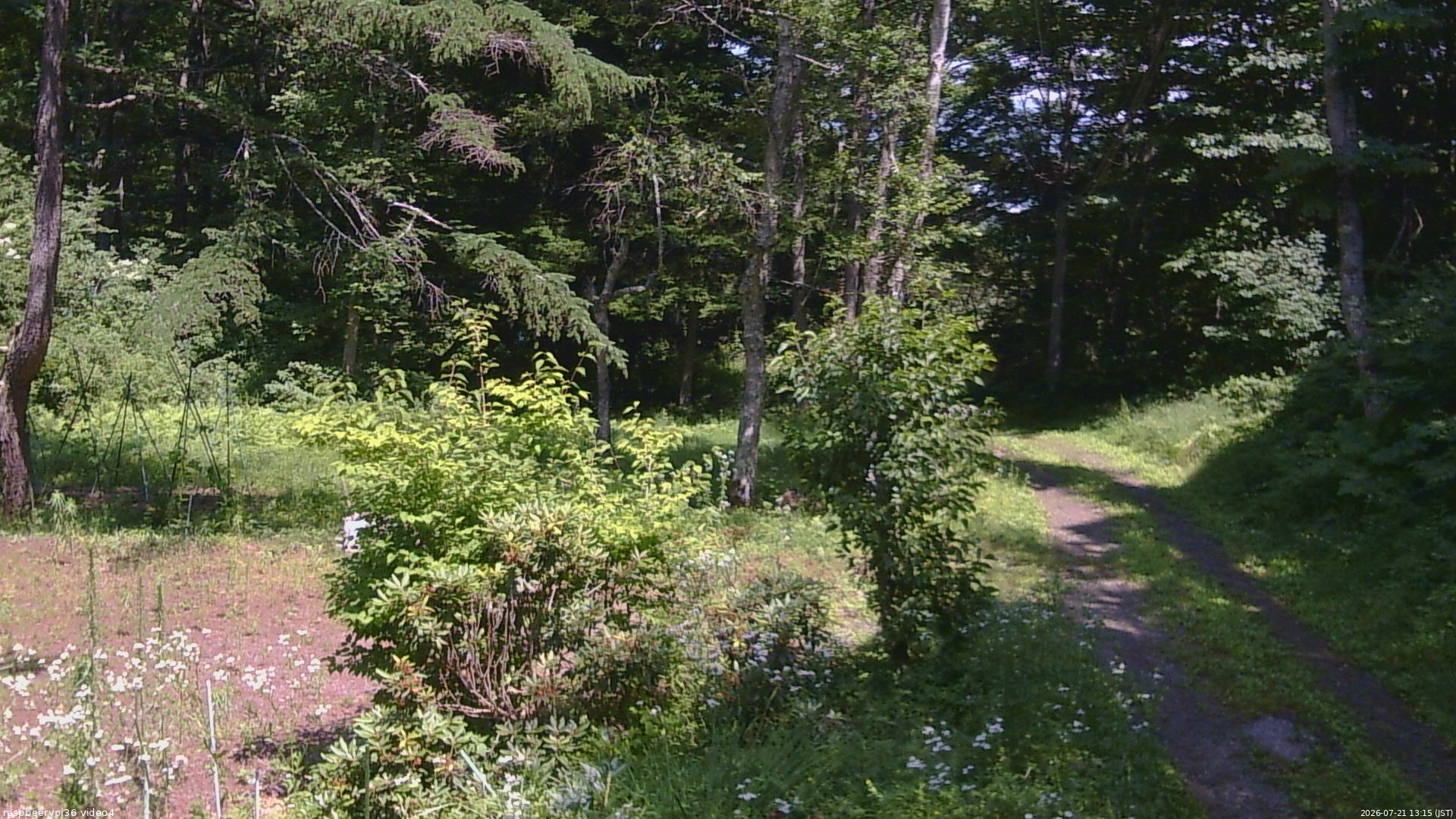 長野県菅平高原 ゆたか山荘 坂上 2026/07/21 13:15