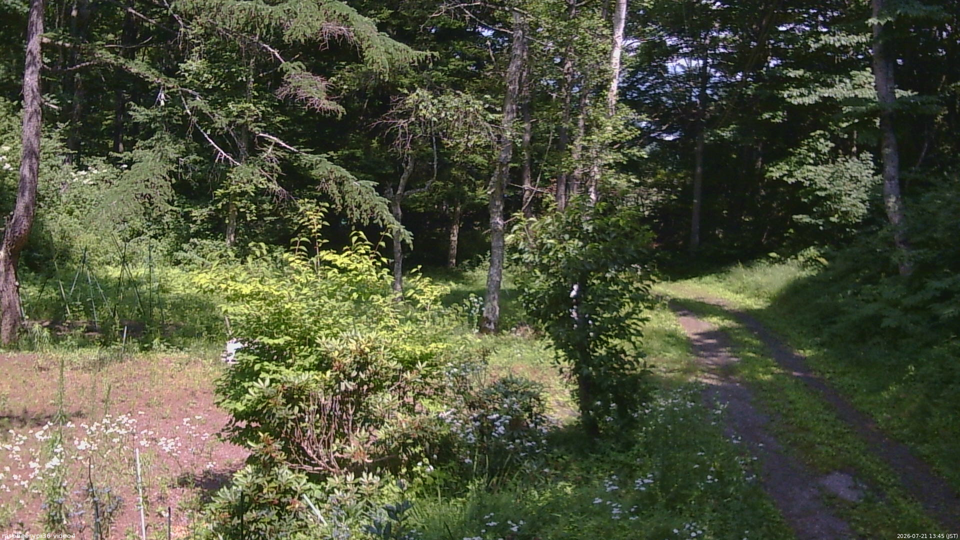 長野県菅平高原 ゆたか山荘 坂上 2026/07/21 13:45