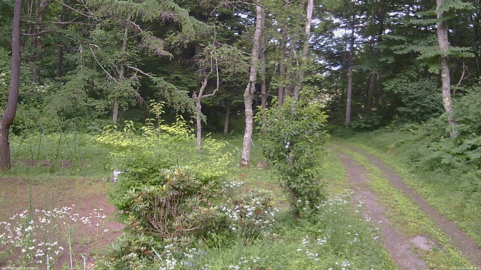 長野県菅平高原 ゆたか山荘 坂上 2026/07/21 16:00