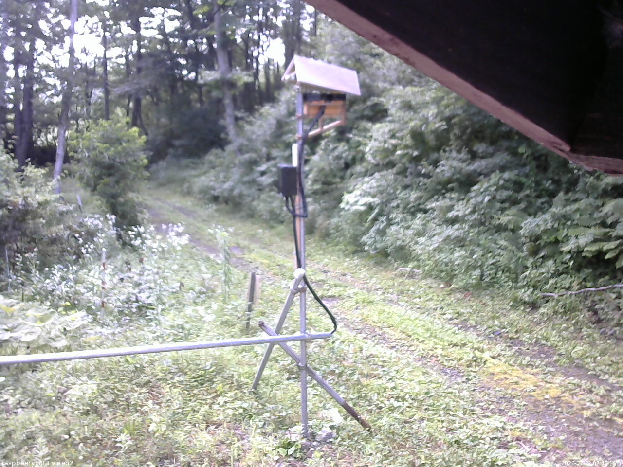 長野県菅平高原 ゆたか山荘 南側 2026/07/22 07:45