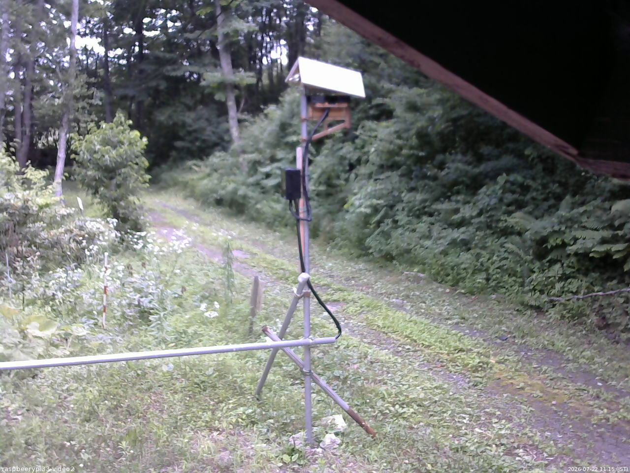 長野県菅平高原 ゆたか山荘 南側 2026/07/22 11:15