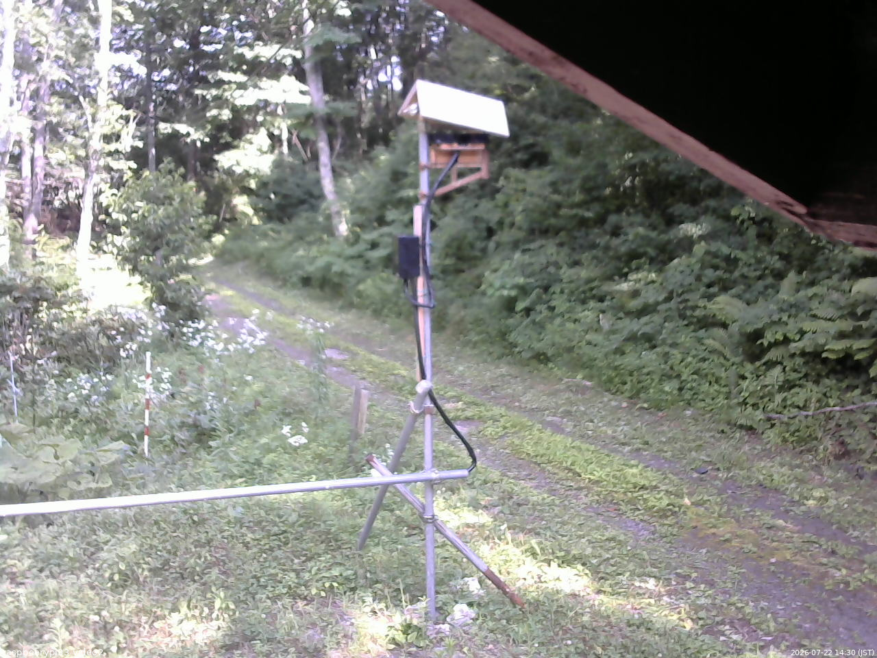 長野県菅平高原 ゆたか山荘 南側 2026/07/22 14:30