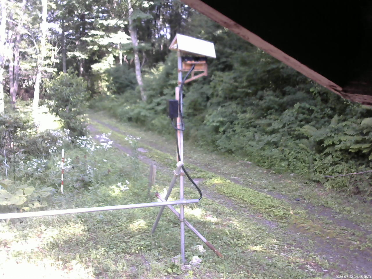 長野県菅平高原 ゆたか山荘 南側 2026/07/22 14:45