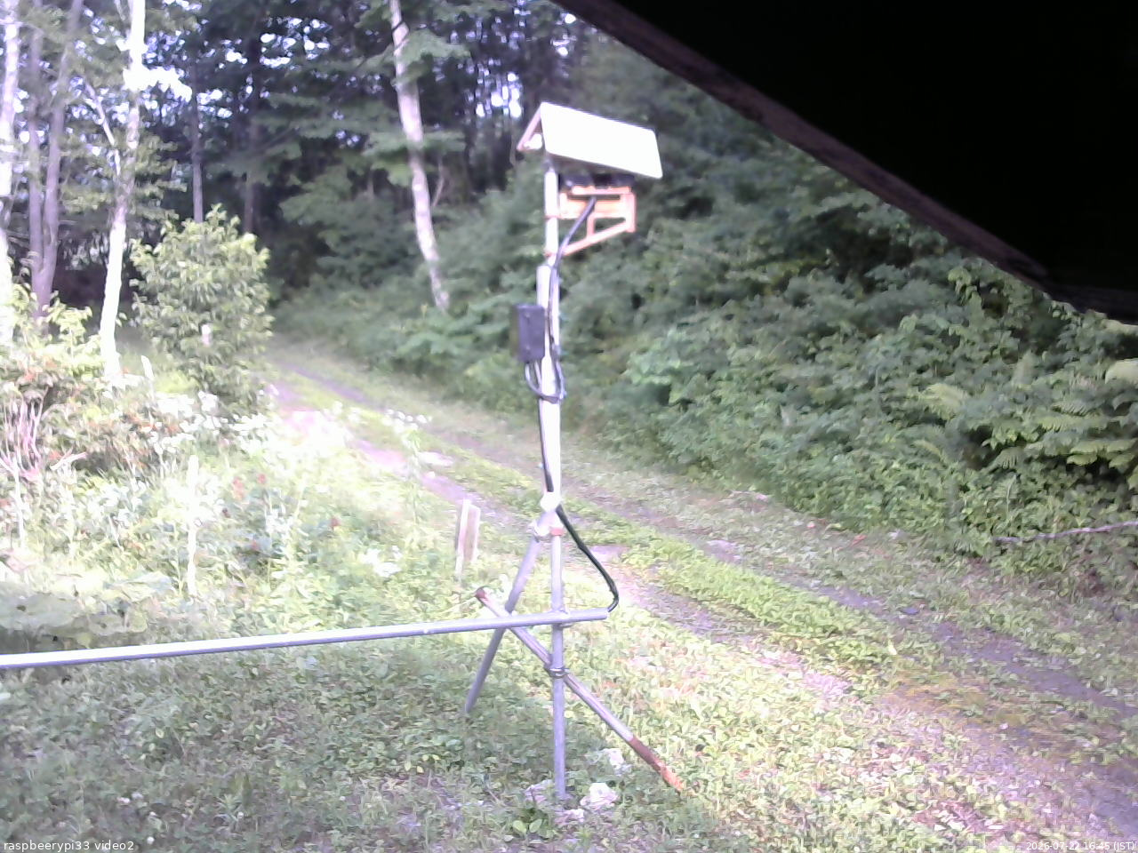 長野県菅平高原 ゆたか山荘 南側 2026/07/22 16:45