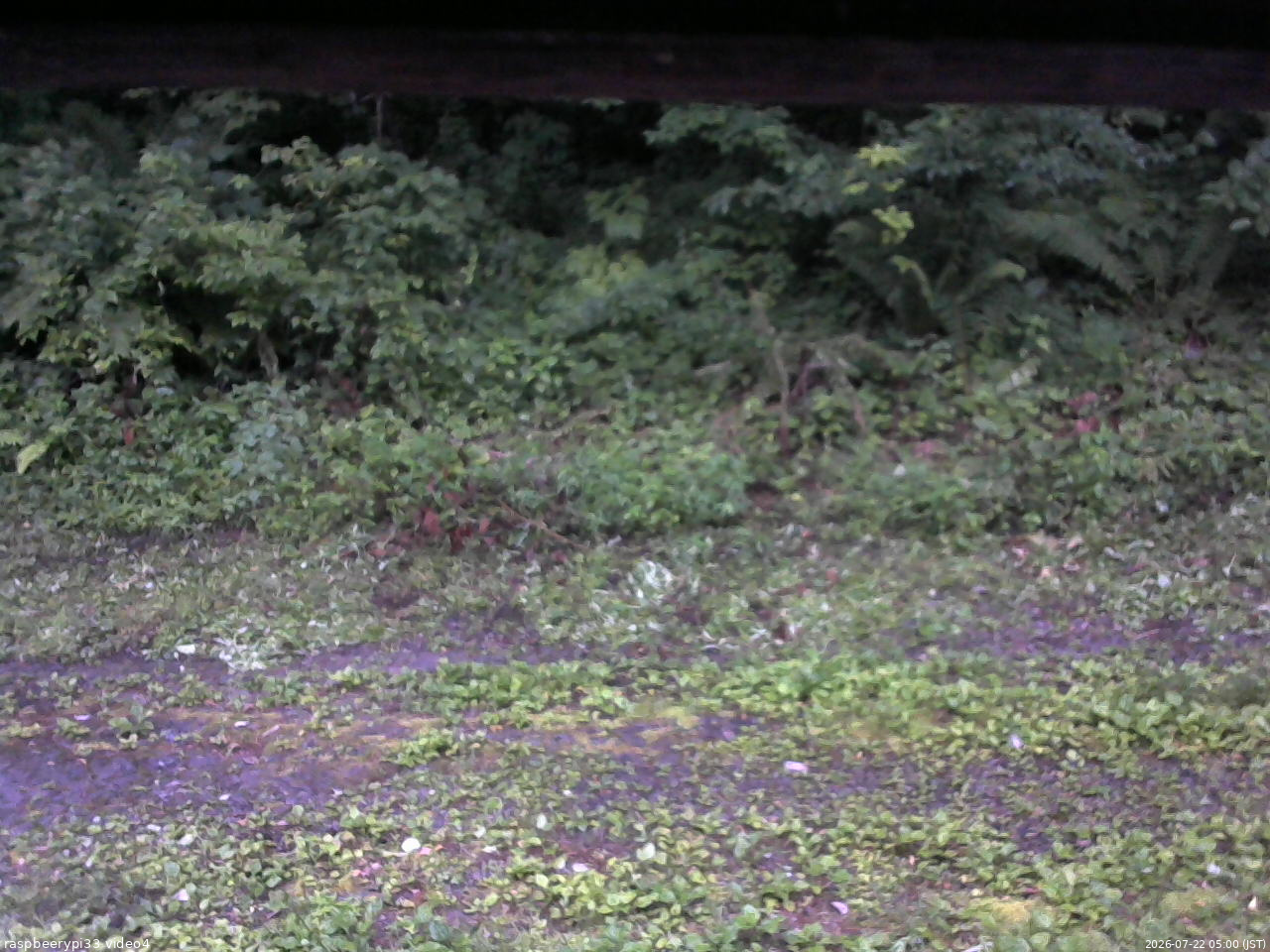 長野県菅平高原 ゆたか山荘 東側(坂下) 2026/07/22 05:00
