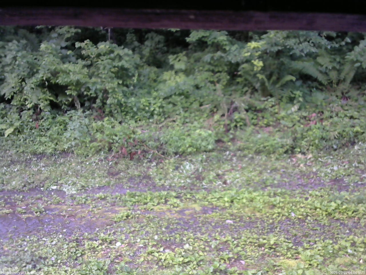 長野県菅平高原 ゆたか山荘 東側(坂下) 2026/07/22 06:00