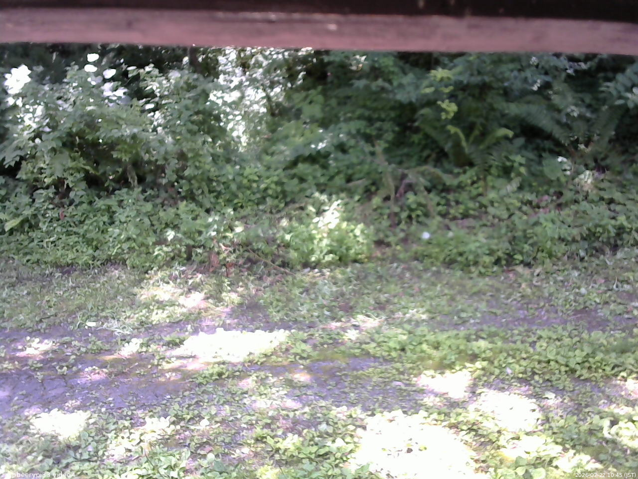長野県菅平高原 ゆたか山荘 東側(坂下) 2026/07/22 10:45