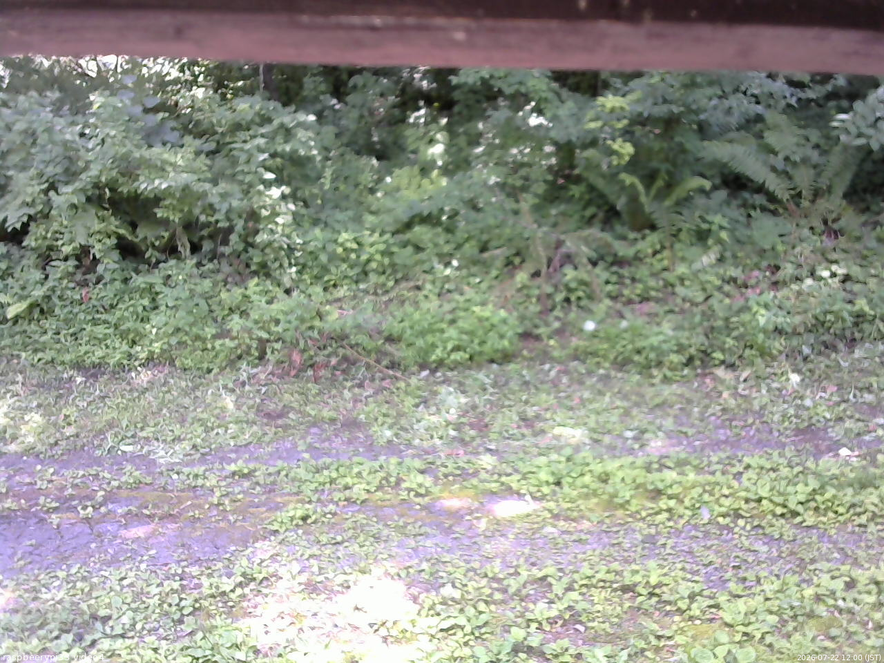 長野県菅平高原 ゆたか山荘 東側(坂下) 2026/07/22 12:00
