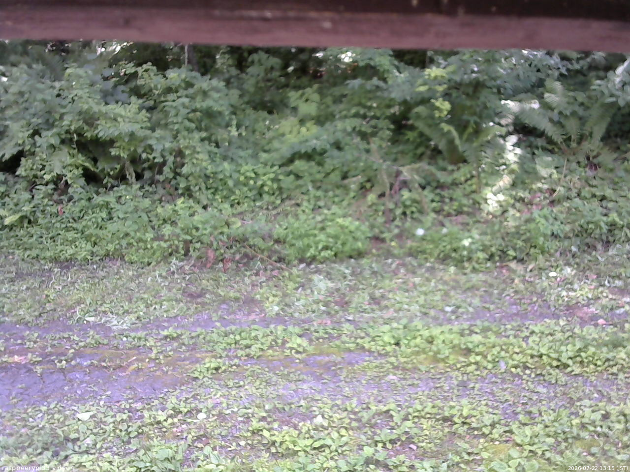 長野県菅平高原 ゆたか山荘 東側(坂下) 2026/07/22 13:15