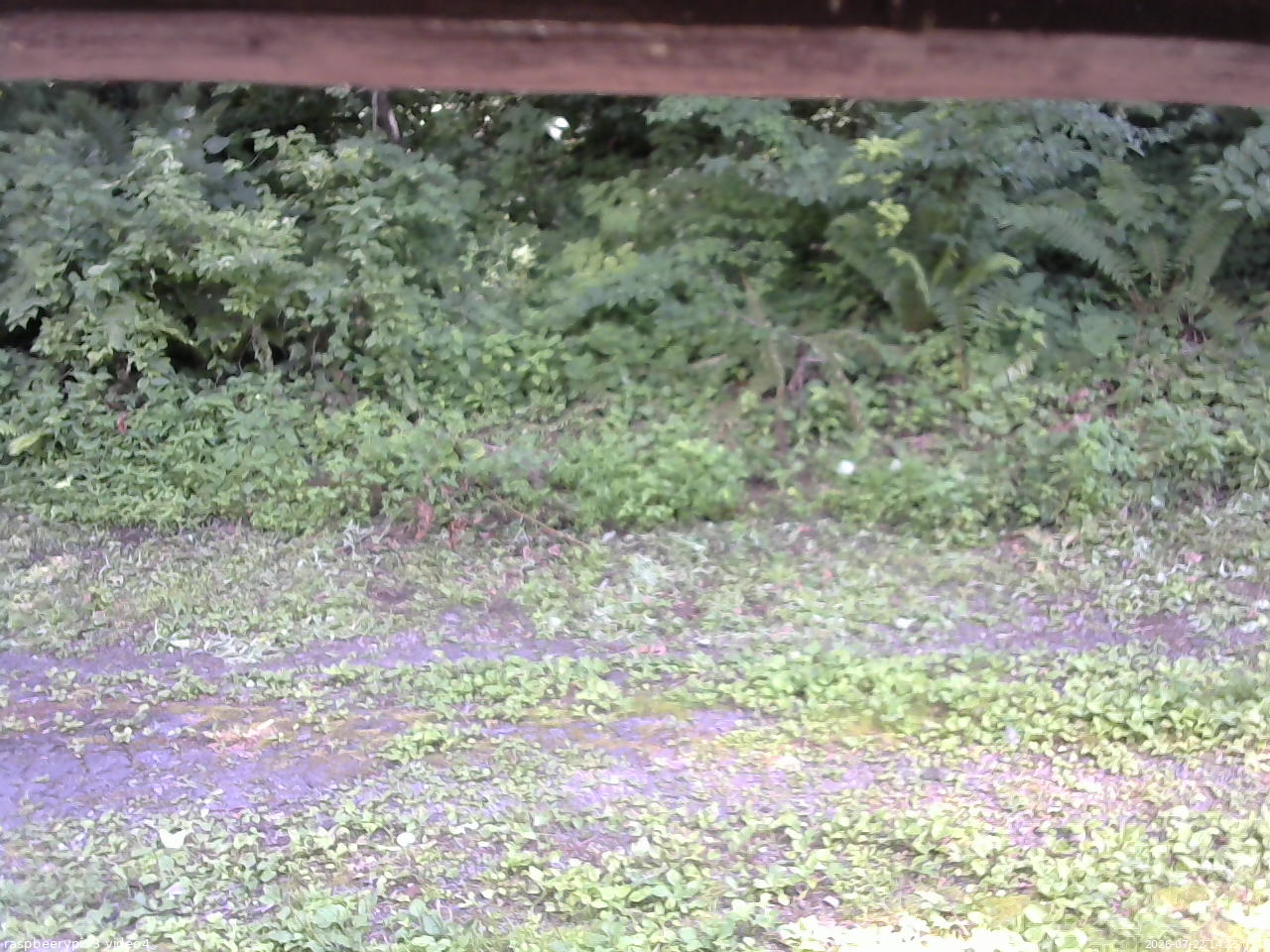 長野県菅平高原 ゆたか山荘 東側(坂下) 2026/07/22 14:15