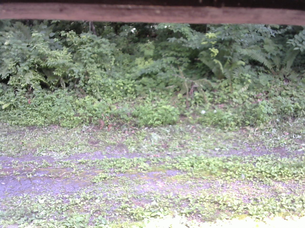 長野県菅平高原 ゆたか山荘 東側(坂下) 2026/07/22 14:30