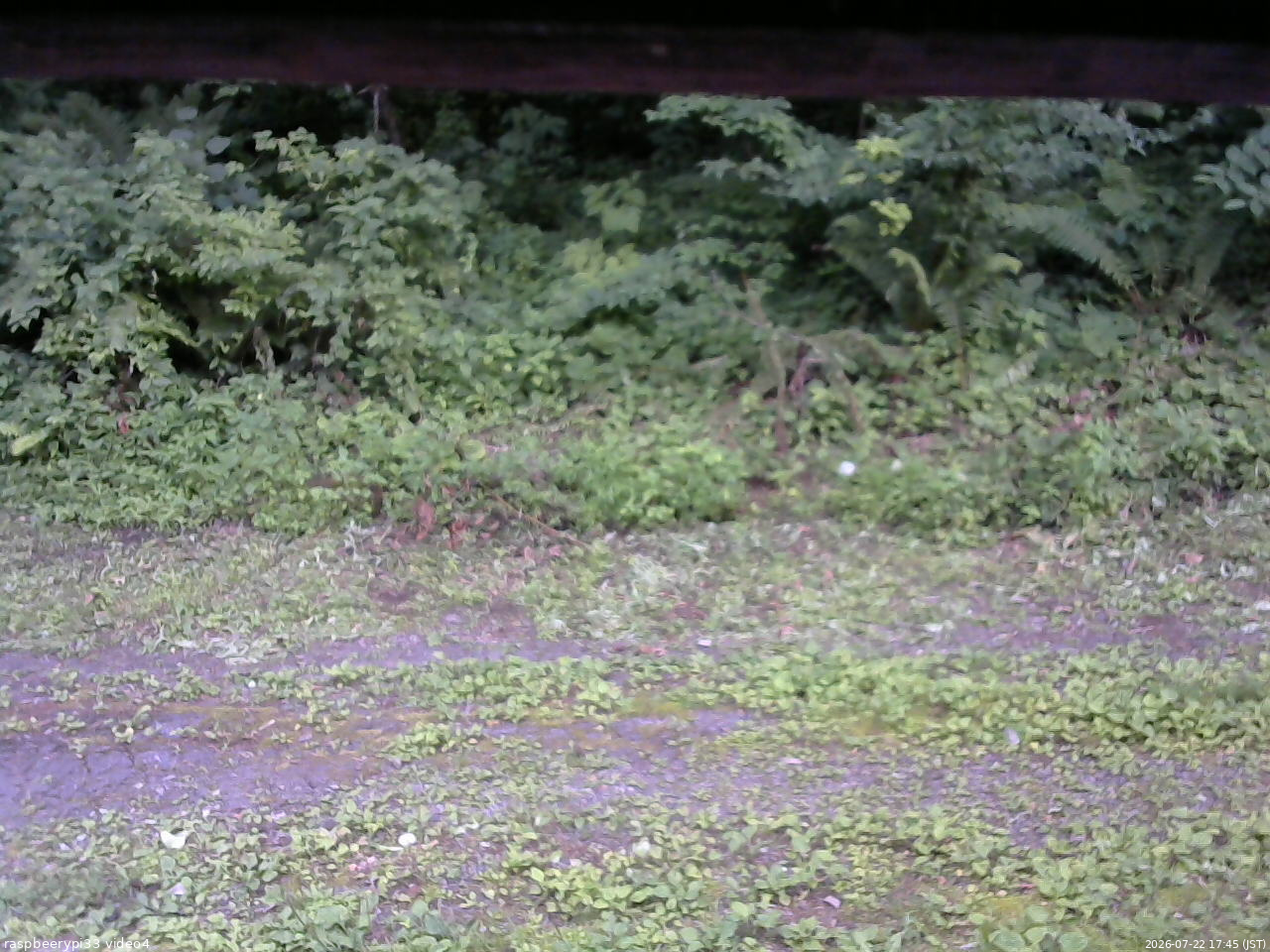 長野県菅平高原 ゆたか山荘 東側(坂下) 2026/07/22 17:45