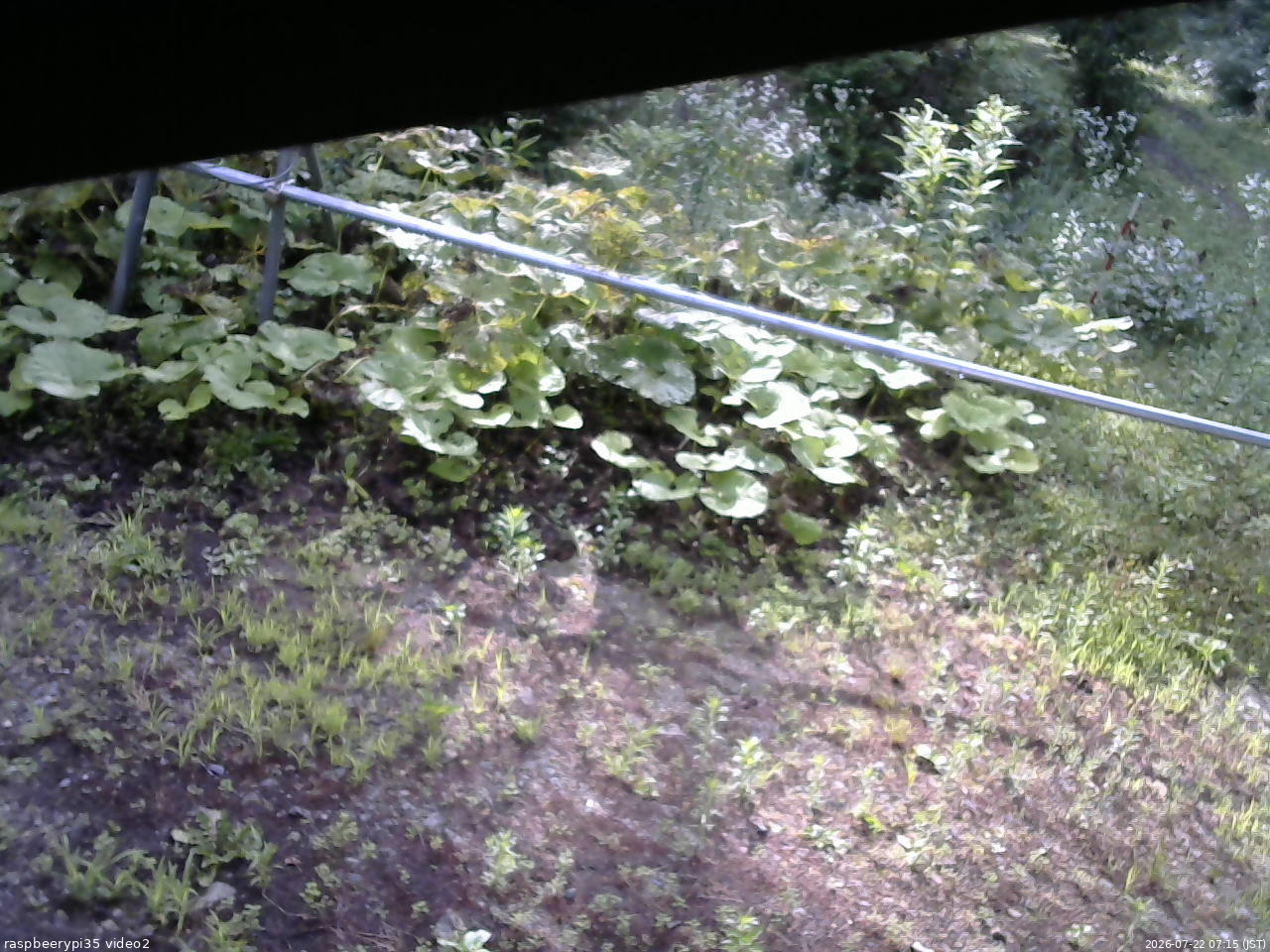 長野県菅平高原 ゆたか山荘 駐車場 2026/07/22 07:15