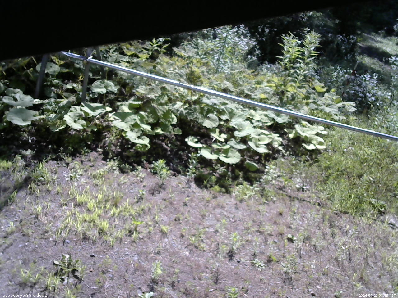 長野県菅平高原 ゆたか山荘 駐車場 2026/07/22 08:45